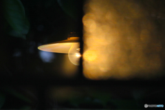 20110604_145245_IMG_3789
