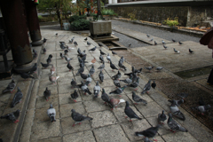 20101009_122112_IMG_0761