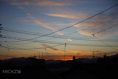 20191215_170136_2O0A3755