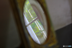 20110604_143942_IMG_3761
