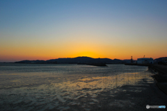 20110326_180138_IMG_2928