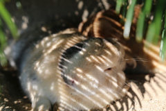 20181028_142818_IMG_1770