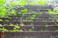 20120602_141033_IMG_7961