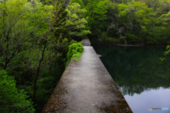 20110504_165057_IMG_3373