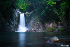 20110818_104403_IMG_4315