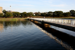20100929_165448_IMG_0296