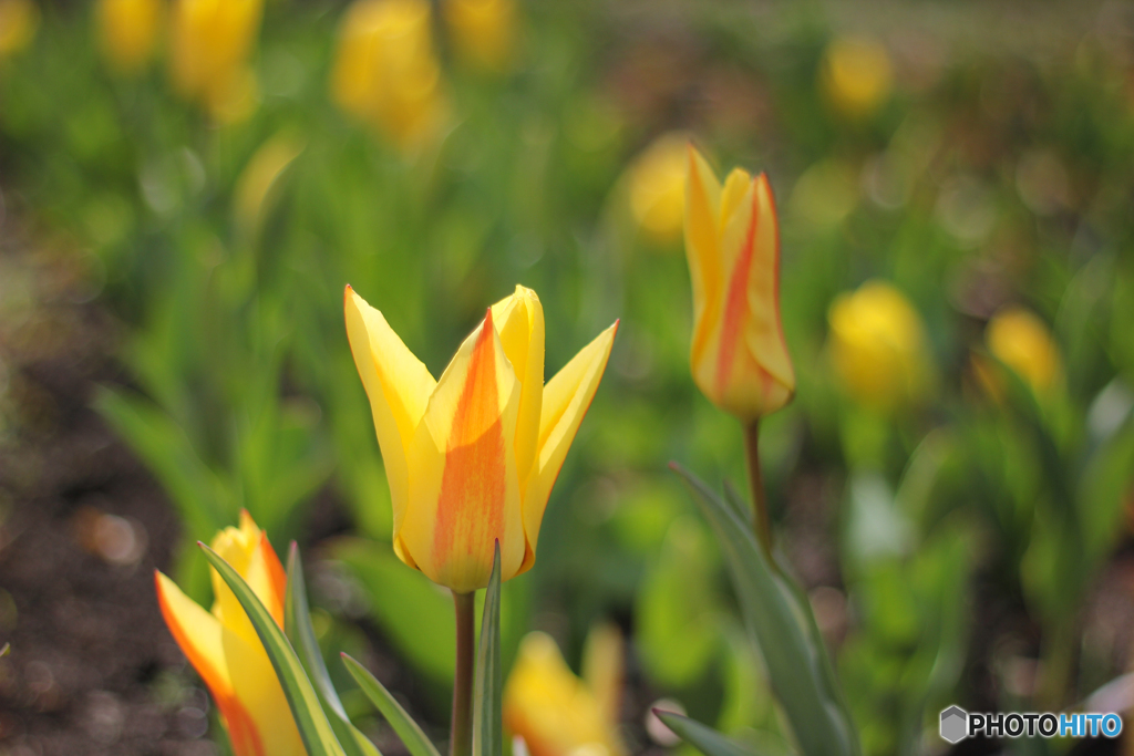 20120401_145708_IMG_7463
