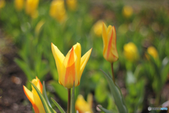 20120401_145708_IMG_7463