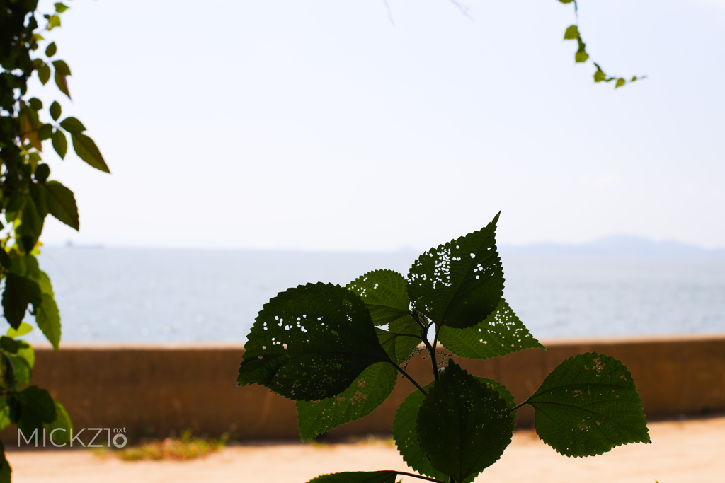 20190914_112753_2O0A2691