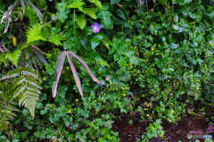 20110504_163232_IMG_3357