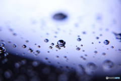 20110707_153852_IMG_4088