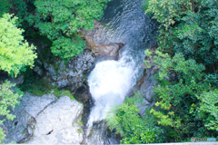 20110818_111228_IMG_4329