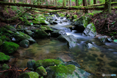 20110701_100725_IMG_4067