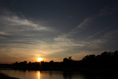 20100929_173400_IMG_0330