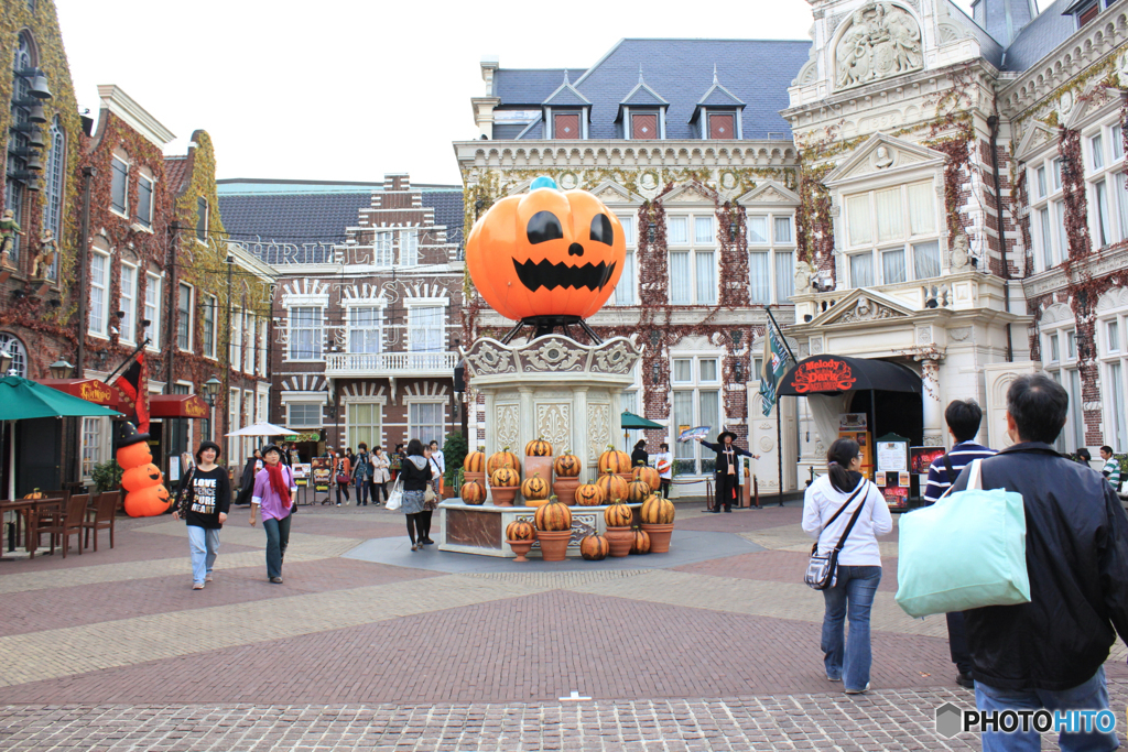 20101030_155334_IMG_1171