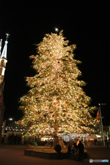 20101030_184341_IMG_1263