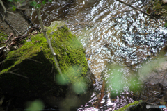 20110504_154845_IMG_3292