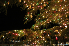 20101030_184611_IMG_1273