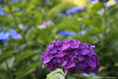20180616_180003_IMG_1614