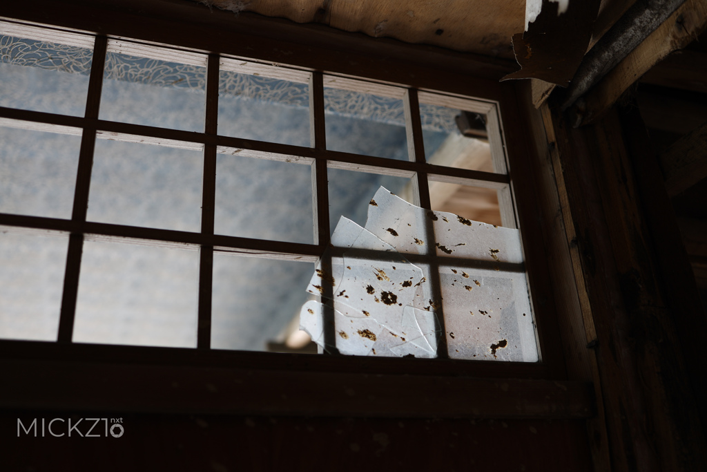 20190914_112239_2O0A2686