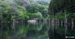 20110504_164945_IMG_3369