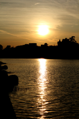 20100929_172722_IMG_0327IMG_