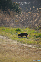 20110226_154028_IMG_2436
