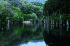 海上の森