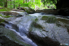 20110701_093948_IMG_4063