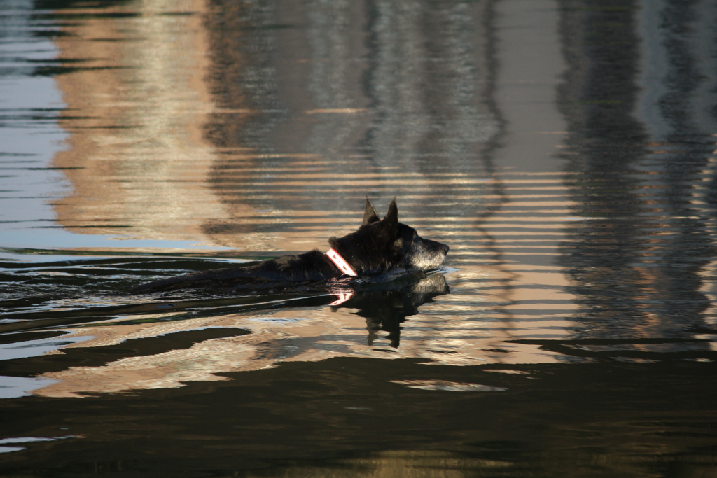 20100929_170832_IMG_0304