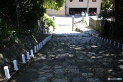 20140501_140533_IMG_1248