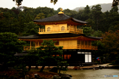 20101009_144039_IMG_0869