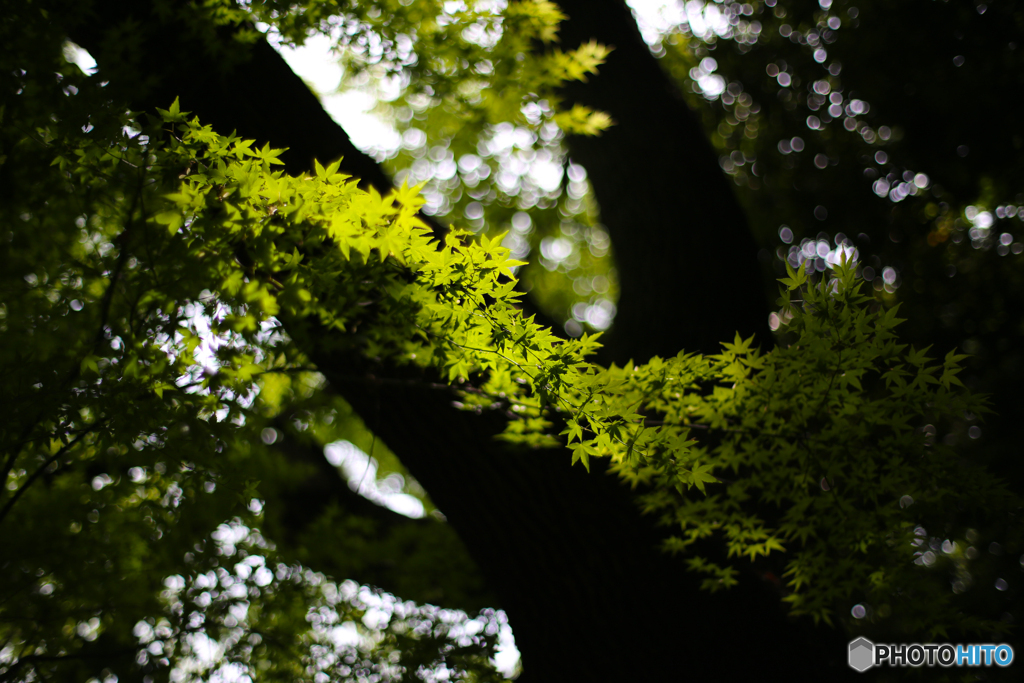 20140427_141234_IMG_1208