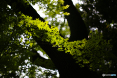 20140427_141234_IMG_1208