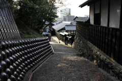 20110305_160817_IMG_2680