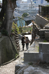 20110305_161625_IMG_2686