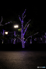 20101030_183654_IMG_1241