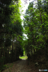 20110504_164259_IMG_3365