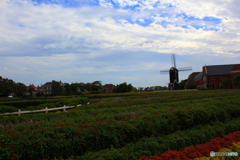 20101030_142617_IMG_1157