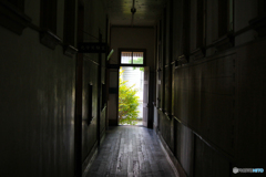 20110604_153231_IMG_3822