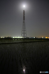 20110521_011832_IMG_3539