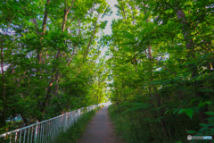 20150517_172245_IMG_0113