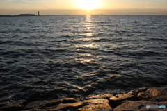 20110305_173721_IMG_2733