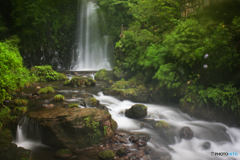 20120811_180011_IMG_8206