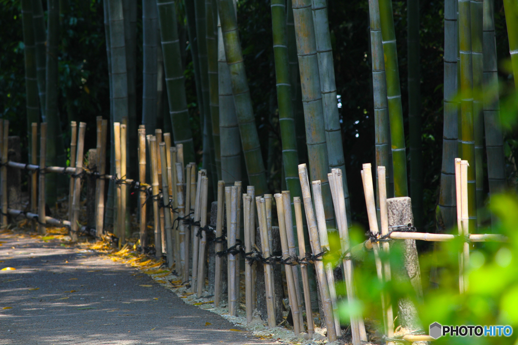 20110508_134526_IMG_3441