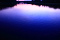 20100929_181226_IMG_0368IMG_