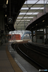 20110305_164918_IMG_2722