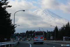 20110219_092404_IMG_2341