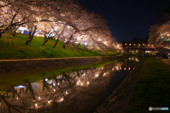 20110406_205656_IMG_3029