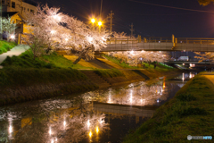 20110406_210824_IMG_3038